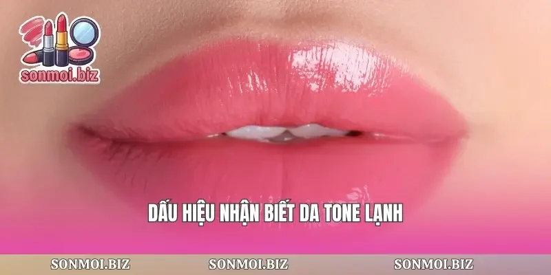 Dấu hiệu nhận biết da tone lạnh