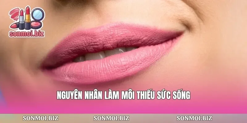 Nguyên nhân làm môi thiếu sức sống