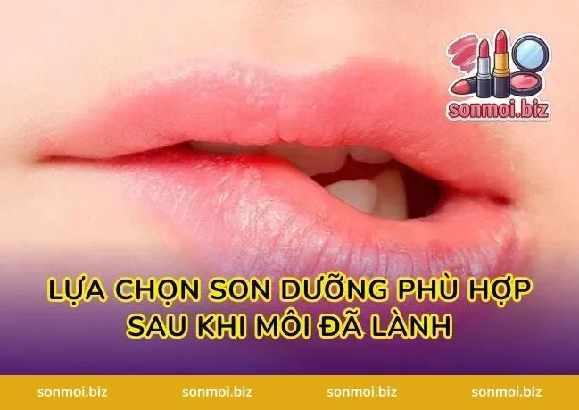 Lựa Chọn Son Dưỡng Phù Hợp Sau Khi Môi Đã Lành